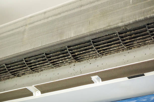 Best Local Air Duct Cleaning Services  in Corsicana, TX